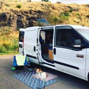 Importance of dog first aid when van camping