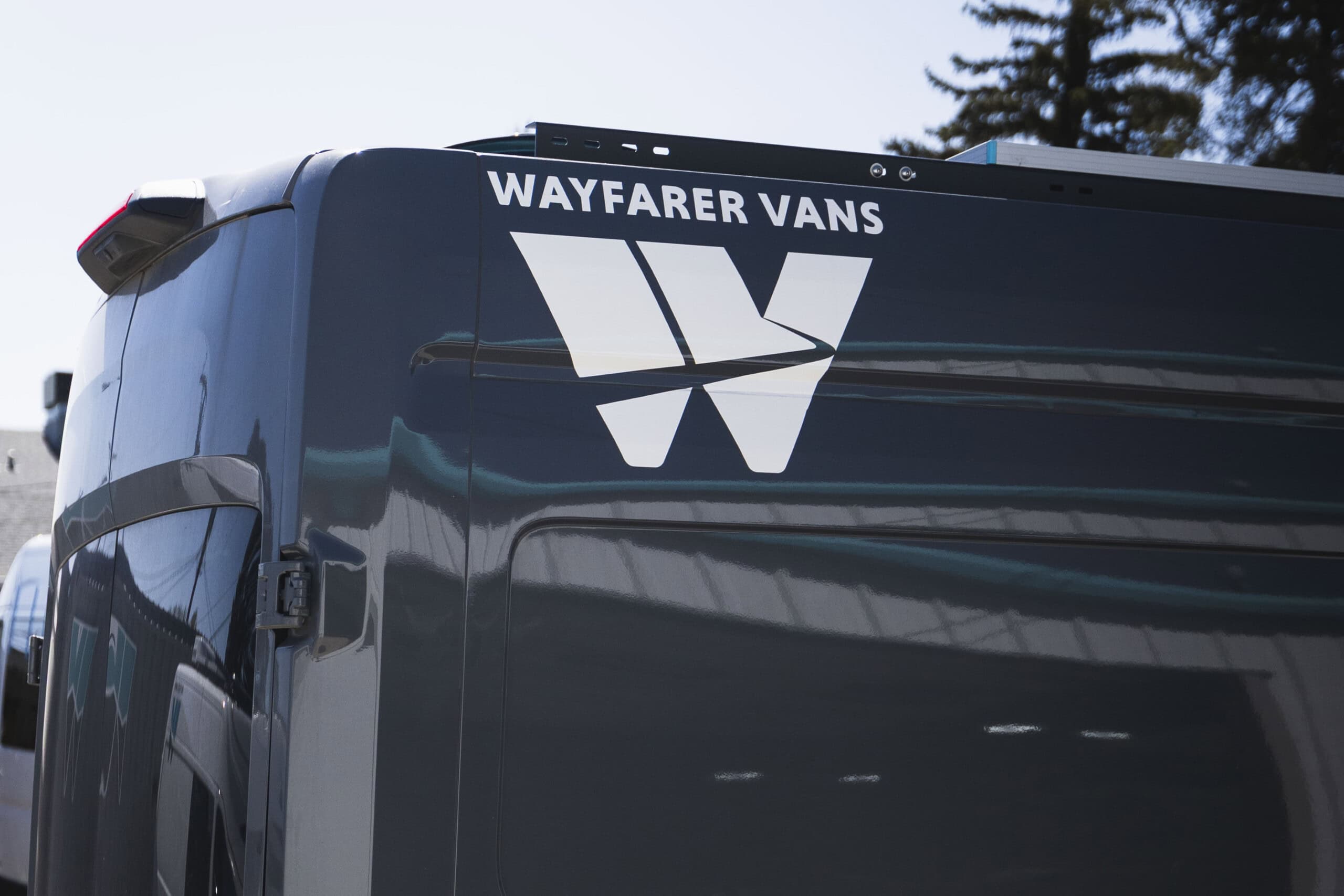 Large Decals image 3